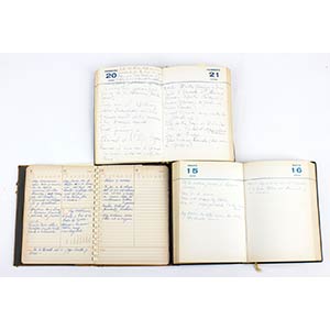 Notebooks of the secretariat of ... 