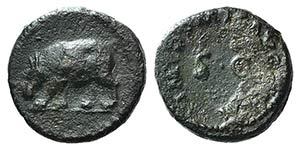 Domitian (81-96). Æ Quadrans (14mm, 2.26g, ... 