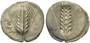 Lucania, Metapontion, Stater, ca. 540-510 ... 