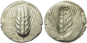 Lucania, Metapontion, Stater, ca. 540-510 ... 