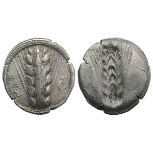 Southern Lucania, Metapontion, c. 510-470 ... 