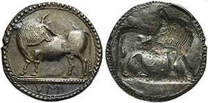 Lucania, Sybaris, Stater, ca. 550-510 BCAR ... 