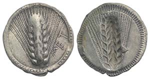 Southern Lucania, Metapontion, c. 540-510 ... 