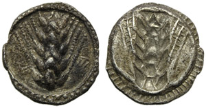 Lucania, Metaponto, Obolo, c. 540-510 a.C.; ... 