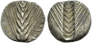 Lucania, Metapontion, Stater (Barbaric ... 