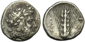 Lucania, Metapontion, Stater, c. 340-330 BC; ... 