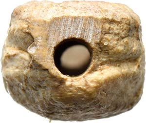 An etruscan bone scaraboid amulet. ... 