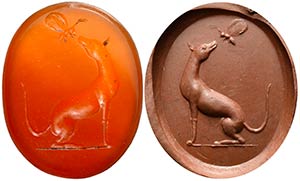 A carnelian intaglio. Dog and butterfly. The ... 