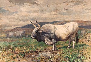 ENRICO COLEMANRoma, 1846 - 1911Toro nelle ... 