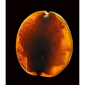 A roman two-layer agate cameo. ... 