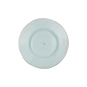 Plate    Wide brimmed plate with ... 