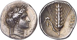 Lucania, Metapontion, Didrachm, ca. 340-330 ... 