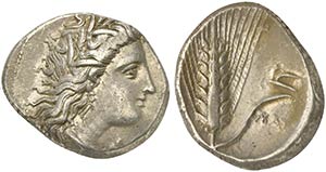 Lucania, Metapontion, Stater, ca. 330-290 BC ... 