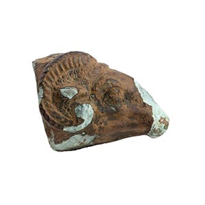 Greek bronze ram protome, 4th ... 