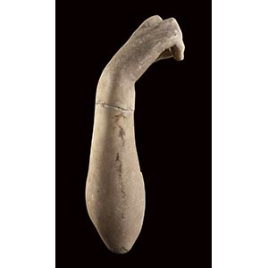 Roman marble arm of a female ... 