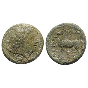 Bruttium, Nuceria, c. 225-200 BC. Æ (23mm, ... 