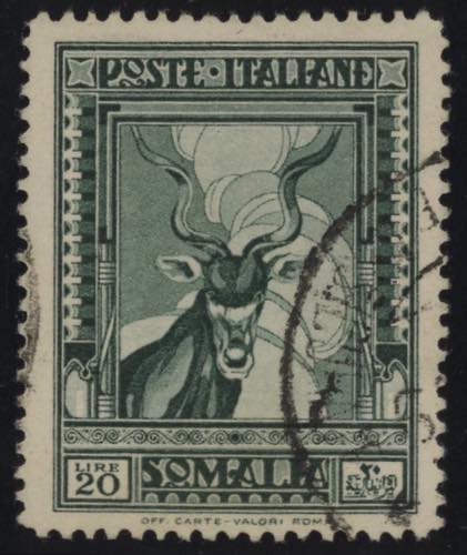 1935 - Antilope 20 lire dentellato ... 