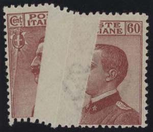1917 - 60 cent. Michetti, n° 111, splendido ... 