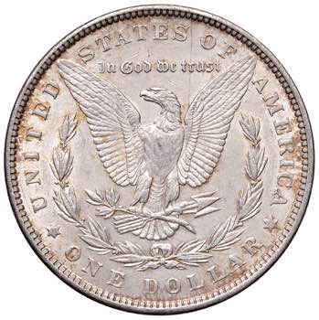 USA. Dollaro 1881. AG (g 26,65). ... 