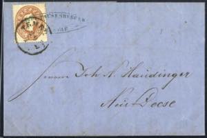 Temesvar 1861, Brief von Temesvar am 29.7. ... 
