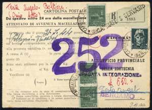 1944, cartolina postale (attestato di ... 