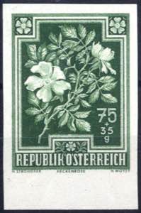 1948, Heimische Blumen Heckenrose 75+35 Gr., ... 
