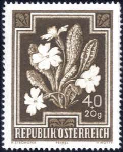 1948, Heimische Blumen 40+20 Gr. einfarbig ... 