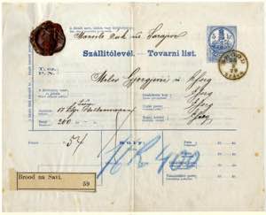 1879, zweisprachige ungarische Paketkarte ... 