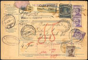 1920, bollettino postale austriaco da 10 H. ... 