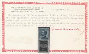 1924-25 - 25 c. Tagliacozzo n. 8. ... 
