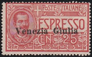 1919 - Espressi n. 1. Cat. € 280,00. SPL