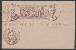Cartolina nuova, Unione Zoologica Italiana. ... 