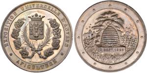 BELGIEN-ANVERS, CITÉ   Große Medaille o.J. ... 