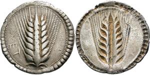 Stater. Spätes 6.- frühes 5. Jh. Ähre. ... 