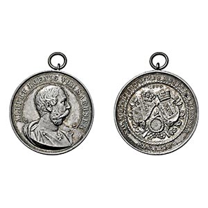 PLAUEN, STADT   - Medaille 1889 XII. ... 