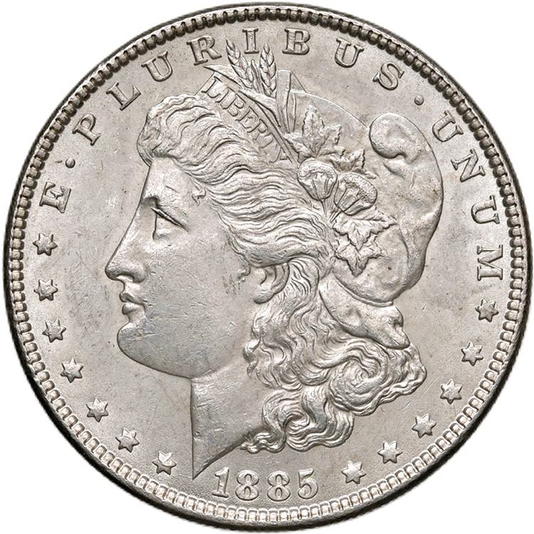 USA Dollaro 1885 - KM 110 AG ... 