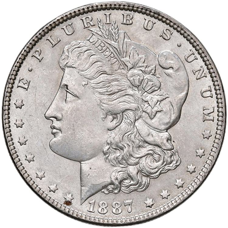 USA Dollaro 1887 - KM 110 AG ... 