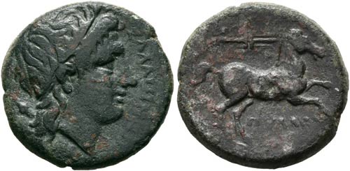 Salapia - Bronze (8,17 g), ca. ... 