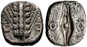 Metapontum - Diobol (0,75 g), ca. 470-440 v. ... 