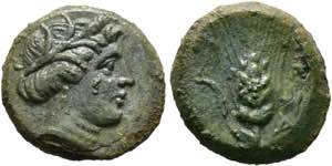 Metapontum - Bronze (2,51 g), ca. 300-250 v. ... 