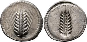 Metapontum - Didrachme / Nomos  (7,17 g), ... 