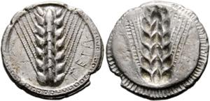 Metapontum - Didrachme / Nomos  (7,45 g), ... 