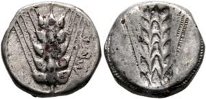 Metapontum - Didrachme / Nomos  (7,52 g), ... 