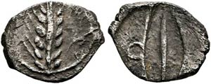Metapontum - Diobol (0,67 g), ca. 470-440 v. ... 