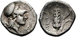 Metapontum - Diobol (1,18 g), ca. 325-275 v. ... 