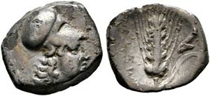 Metapontum - Diobol (0,96 g), ca. 325-275 v. ... 