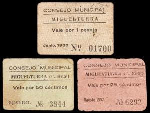 Miguelturra (Ciudad Real). Consejo ... 