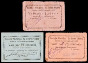 Pedro Muñoz (Ciudad Real). Consejo ... 
