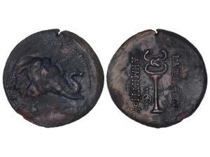AE 29. 205-171 a.C. DEMETRIO I. BACTRIA E ... 