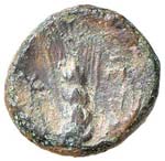 GRECHE - LUCANIA - Metaponto  - AE 16 - ... 